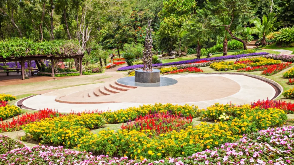 
Doi-Tung-Mae-Fah-Luang