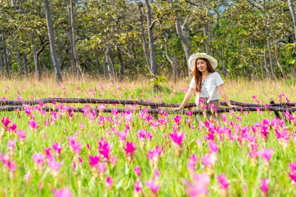 Chaiyaphum-Sai-Thong-National-Park-
