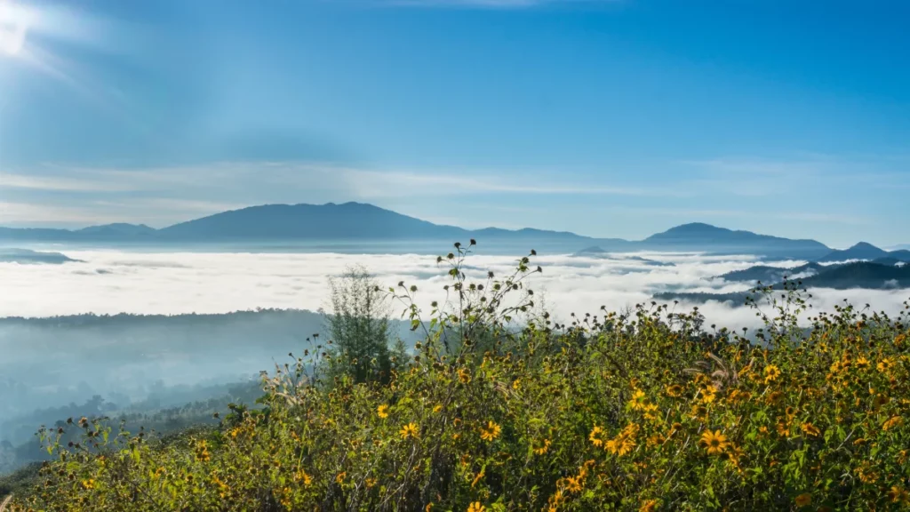 Yun-Lai-viewpoint-Pai-Mae-Hong-Son