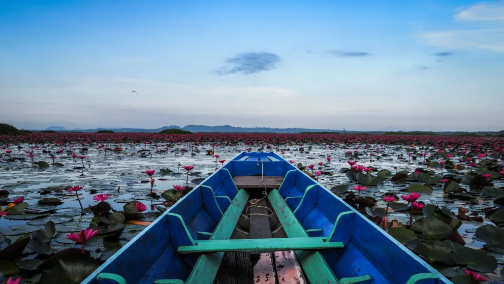 Thale Noi Watervogelreservaat avec des fleurs autour