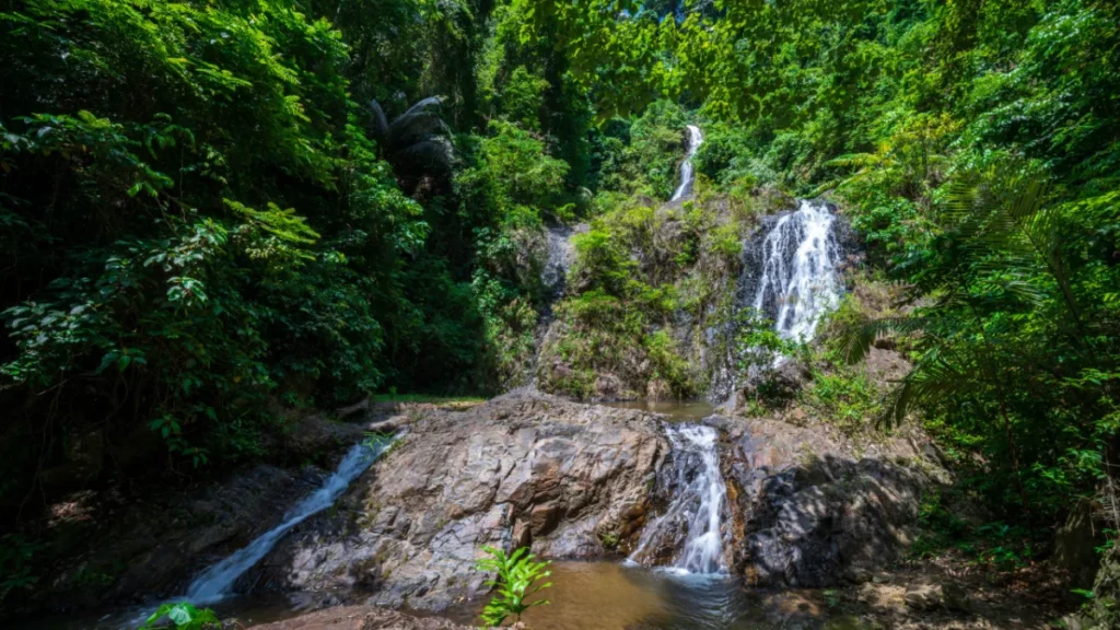 Huai-To-Waterfall-Khao-Phanombencha-National-Park-Krabi-scaled-1