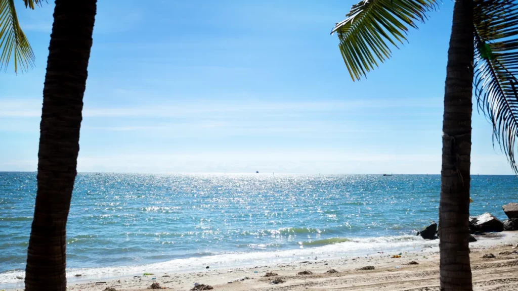 Bang Saen Beach met palmbomen in Chon Buri