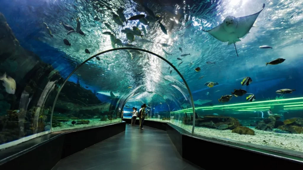 Onderwatertunnel met vissen in Underwater World Pattaya